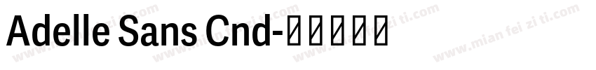 Adelle Sans Cnd字体转换